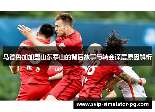 马德鲁加加盟山东泰山的背后故事与转会深层原因解析 马德鲁加加盟山东泰山的背后故事与转会深层原因解析