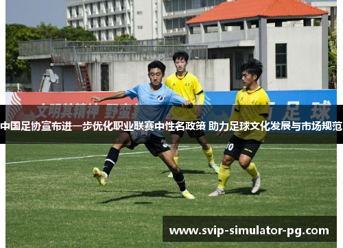 中国足协宣布进一步优化职业联赛中性名政策 助力足球文化发展与市场规范 中国足协宣布进一步优化职业联赛中性名政策 助力足球文化发展与市场规范