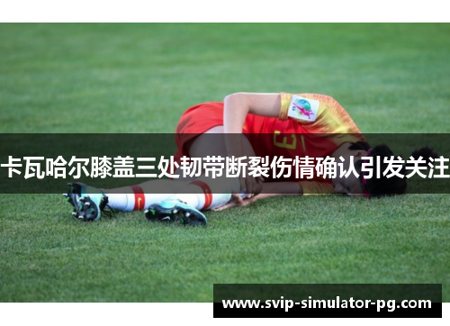 卡瓦哈尔膝盖三处韧带断裂伤情确认引发关注