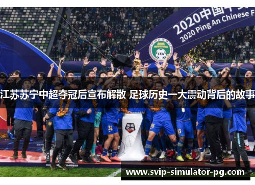 江苏苏宁中超夺冠后宣布解散 足球历史一大震动背后的故事 江苏苏宁中超夺冠后宣布解散 足球历史一大震动背后的故事